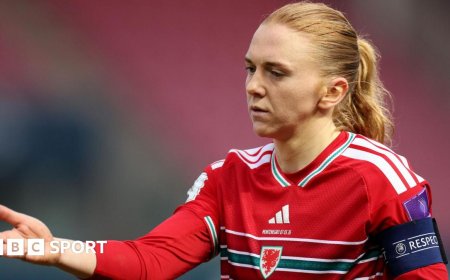 Wilkinson challenges Wales to fill Holland void