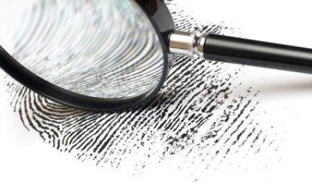 Whistleblower Case Study: Independent Internal Investigations