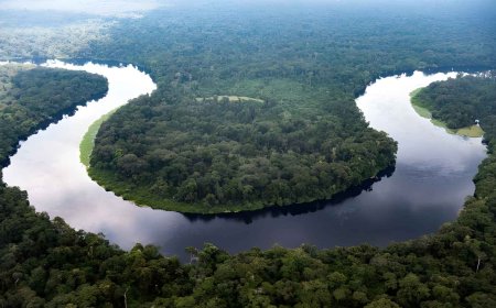One of Earth’s major carbon sinks may be beginning to release carbon that has been stored for thousands of years, and signs of this are already appearing in two dark lakes in the Congo