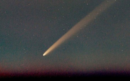 A real interstellar comet entered the Solar System, and the buzz on social media was so intense that even artificial intelligence began generating data about aliens and impossible trajectories
