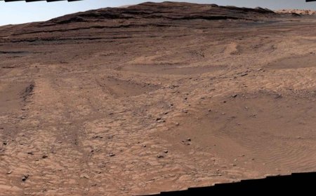 NASA has finally solved the mystery of the giant spiderwebs observed on Mars since 2006, and Curiosity’s findings have reignited the big question of how long water remained underground
