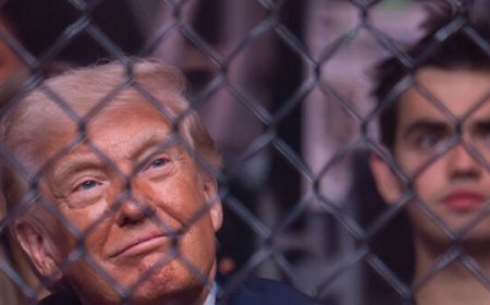 One Question from Trump Instantly Changes the White House UFC Card