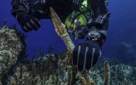 In The Greek Islands, Divers Have Discovered More Than 50 Remarkably Preserved Artifacts from a Shipwreck Beneath the Seafloor