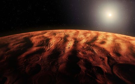 Scientists Just Recreated Hostile Mars Conditions in the Lab, and These Tiny Cells Refused to Die