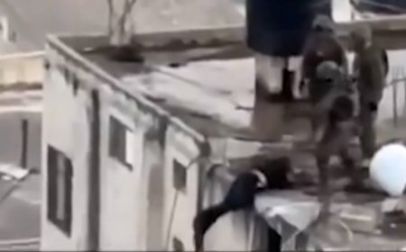 South Korean President Demands Investigation Into Video of IDF Soldiers Pushing Children’s Bodies Off Roof