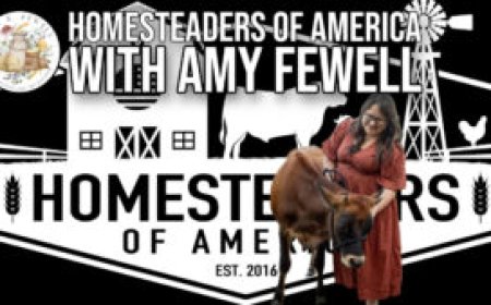 Homesteaders of America with Amy Fewell