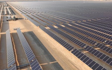 'Maybe it’s not science fiction': Solar panels are causing rainwater to fall in one of the driest places on Earth