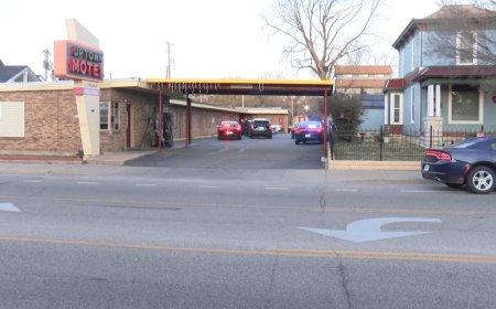 'I shouldn't have done it': Affidavit details alleged Wichita car theft, scuffle with police