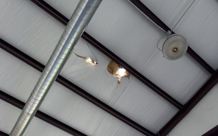 Kansas dance studio recovering after being hit by an EF2 tornado