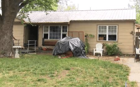 Dog dies, homeowner injured in south Wichita fire