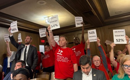 A Royals stadium ordinance just steamrolled through city government. The public has a few small critiques.