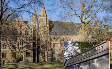 Yale blames soaring costs, degree doubts and free speech worries for higher ed trust crisis: ‘Fallen short’…