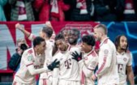 Bayern Munich Clinches 35th German Title as Kane Leads Rout of Stuttgart