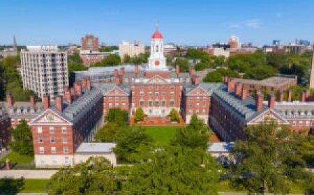 New Documents Reveal Extensive Post-Conviction Ties Between Harvard Faculty and Jeffrey Epstein