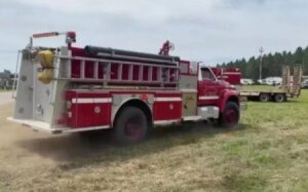 Wildfires Sweep Southeastern United States, Forcing Evacuations and Destroying Homes