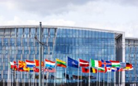 Trump Administration Drafts NATO Ranking System Tied to Iran War Support