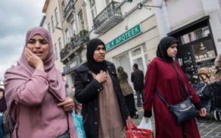 EU Migrant Population Surges to Record 64.2 Million in 2025, Study Finds Sharp 15-Year Increase