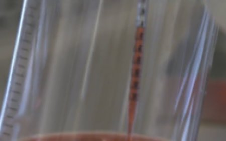 FDA Approves First Gene Therapy for Rare Genetic Hearing Loss