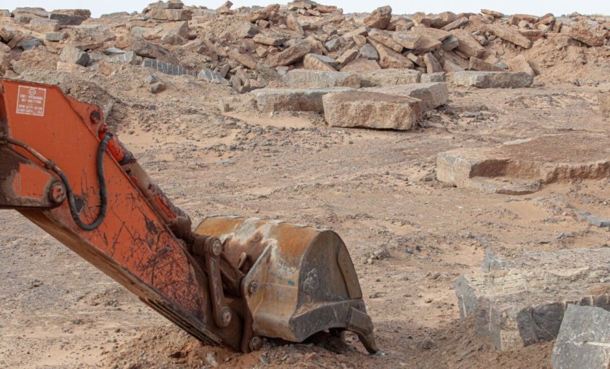 Scientists Unearth a Giant Fossil Over 9 Meters Long in Morocco’s Ancient Phosphate Beds