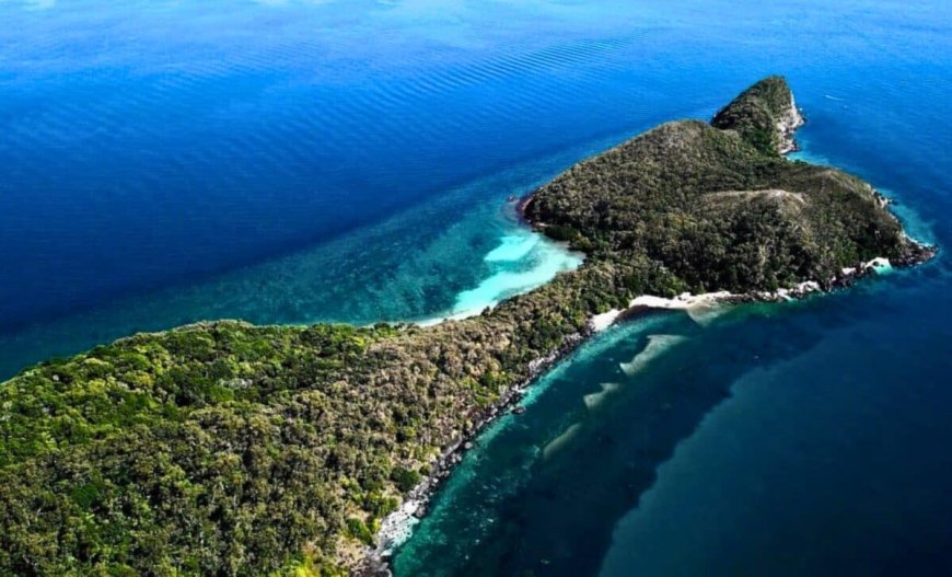 Trapped in Lava for 44 Million Years, A Lost Tropical Island Resurfaces from the Atlantic, and This Nation Moves to Seize It