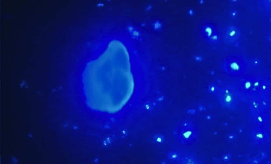 Scientists Develop a Home Device That Removes Invisible Micro and Nanoplastics in Your Tap Water