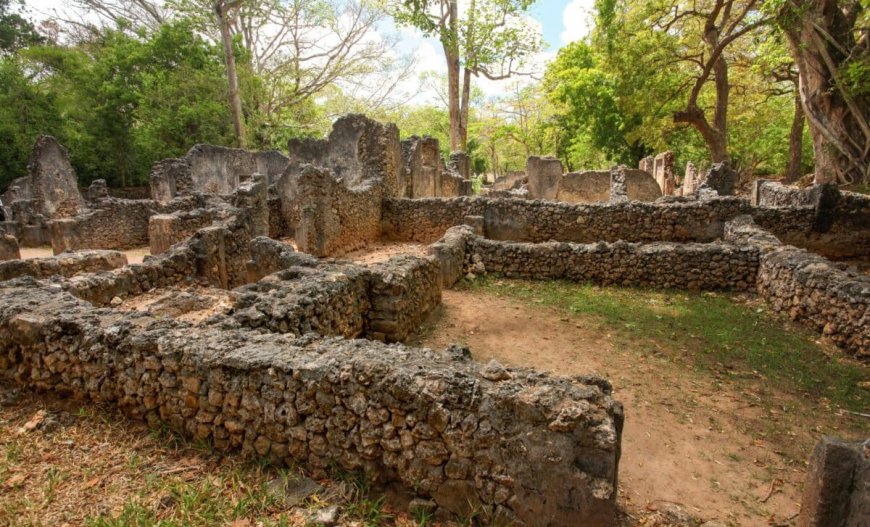 Researchers Found Something Looked Like Simple Mounds in the Jungle Are Now Believed to Be Ancient Maya Marketplaces