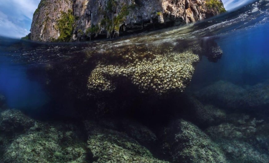 Scientists Just Discovered a Submerged Land That Vanished Thousands of Years Ago, Now It’s Revealing How Homo Erectus Lived and Moved