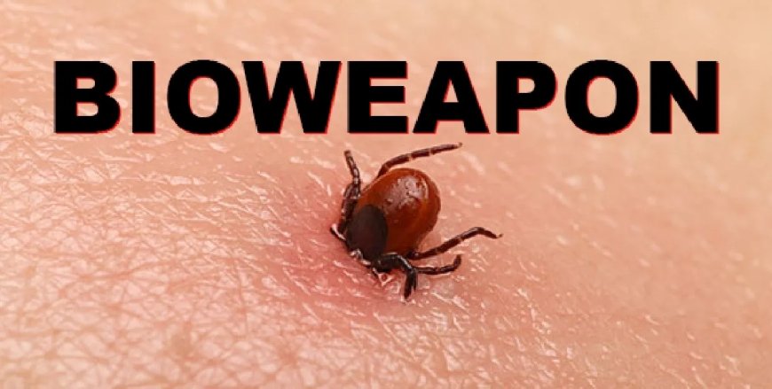 Newly Released JFK Files Reveal Pentagon’s Role In Creating Lyme Disease And COVID In The Same Lab