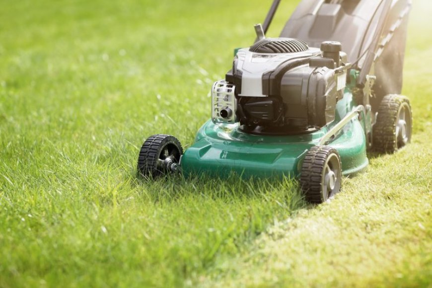 Effects of rising gas prices on local lawn care businesses