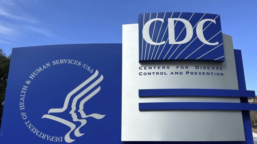 CDC pauses diagnostic testing for rabies, other infectious diseases