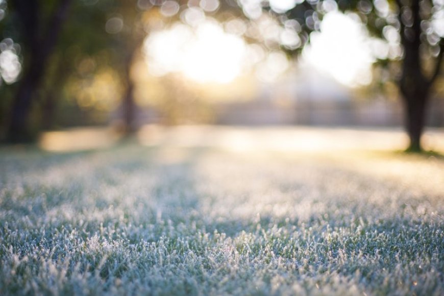 Protect Your Plants: Frost Advisory issued for the Ozarks tonight