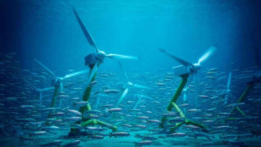 River turbines were designed to scare fish away — Instead, rainbow trout stayed and began playing with them in ways experts didn’t expect