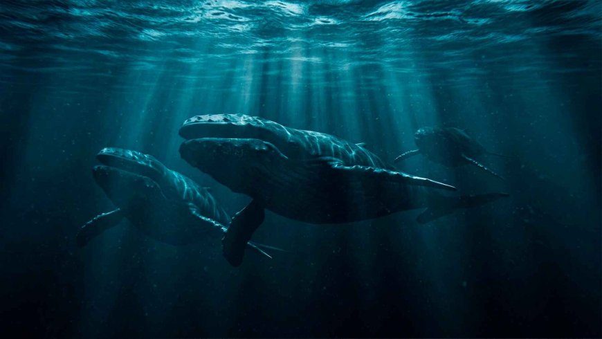 Scientists filmed a sperm whale giving birth and discovered that unrelated females rushed in to help