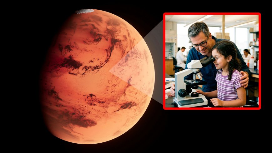 A mysterious signal arrived from Mars and remained unsolved for months until a father and daughter uncovered it was showing the basic components of life