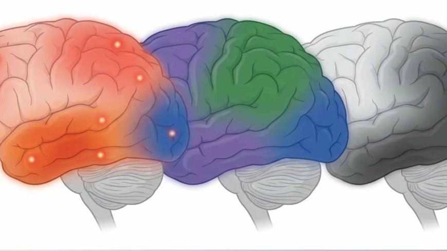This explains why you change so much between the ages of 20 and 30: your brain is building internal highways