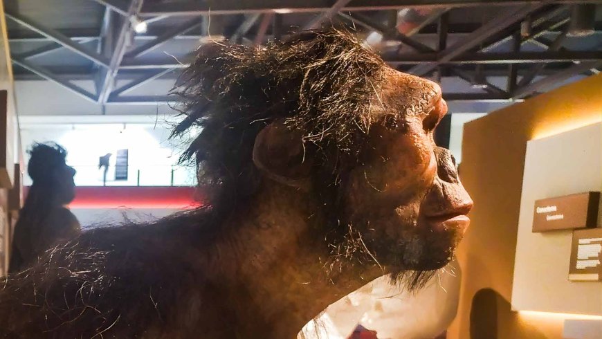 It is possible that Neanderthals did not “die out”… they mixed with us until they became invisible