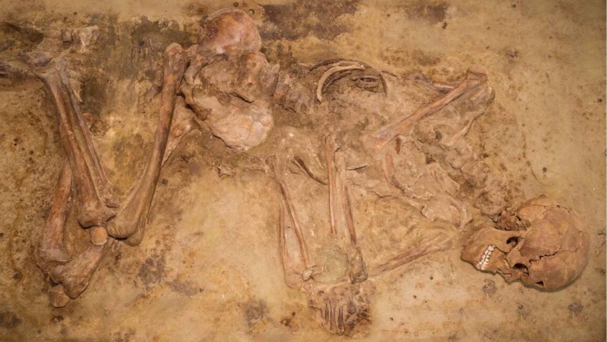 Ancient DNA reveals that hunter-gatherers in what is now Belgium and the Netherlands survived until 2500 BC, when the rest of Europe was already engaged in agriculture