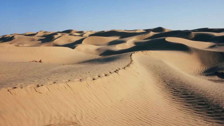 China is transforming the Takla Makan Desert, which at 337,000 km² is almost the size of Poland, into a “lung in the sand”: the 66 billion trees planted since 1978 have increased vegetation, multiplied rainfall during the wet season by 2.5 times, and even reduced local CO2 levels from 416 to 413 ppm