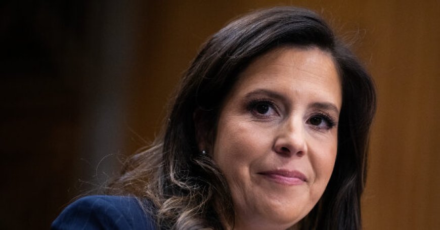 Exclusive: Rep. Elise Stefanik Says New Book Is 'Deep Dive' into Elite American Universities