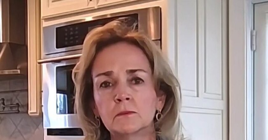 Dem Rep. Dean on Downed Jet: Trump's Rhetoric Seemed Like It Would 'Incite Such an Attack'