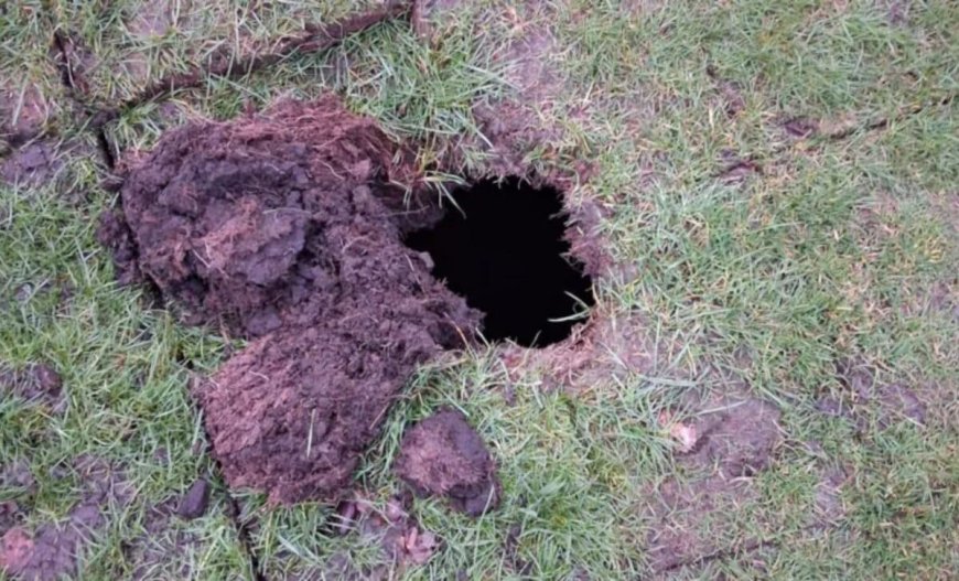 A Sinkhole Hidden Beneath a Golf Course Reveals a Forgotten Wine Cellar with Dozens of Old Glass Bottles