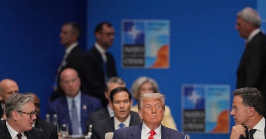 Top Republicans Rally Around Trump, Question Point of 'Feckless' and 'Weak' NATO Allies