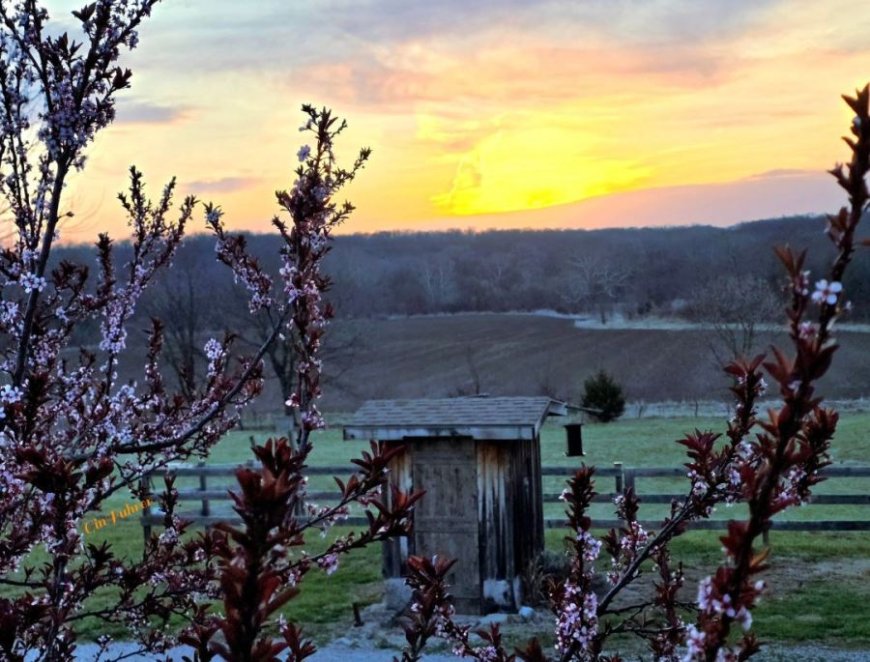 Joe's Blog: Some flakes and more rain (MON-4/6)