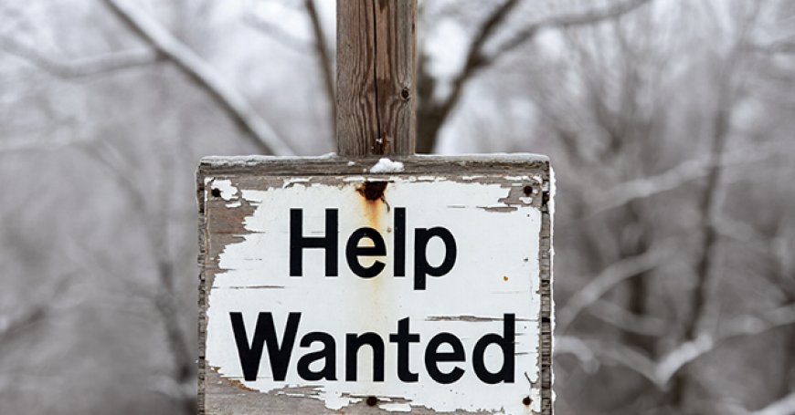 Breitbart Business Digest: The Myth of the Frozen Labor Market