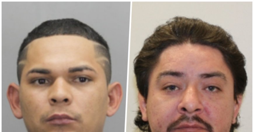DHS: Virginia Prosecutors Offer 'Insane' Plea Deal to Illegal Aliens Convicted of Murder