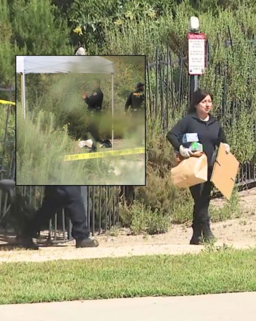 Human skull found at Los Angeles park during kids' Easter egg hunt, investigators say