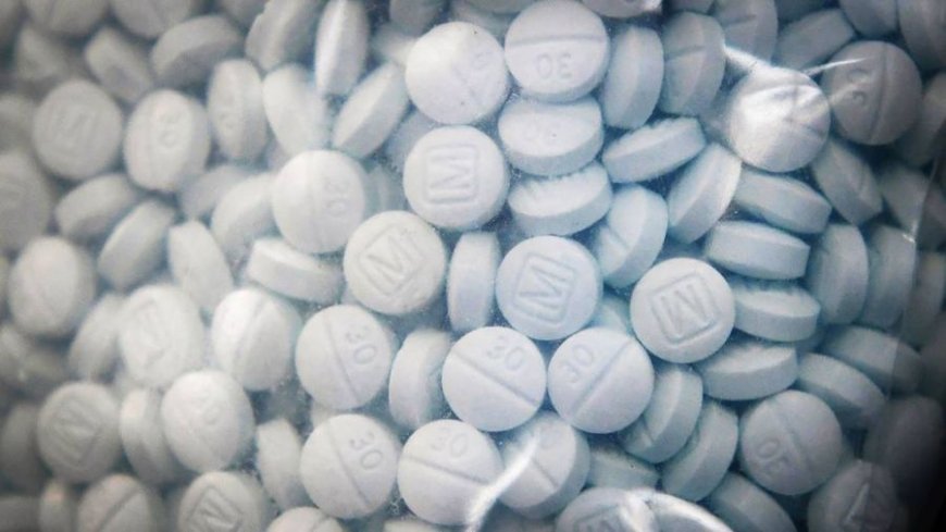 115,000 fentanyl pills send Kansas woman to federal prison