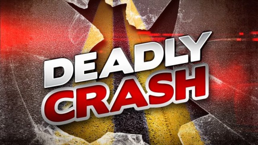 Branson man dies in Webster County two-vehicle crash