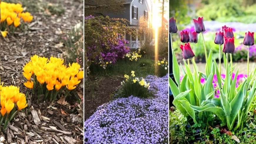 Warmer weather returns this week ahead of wetter pattern