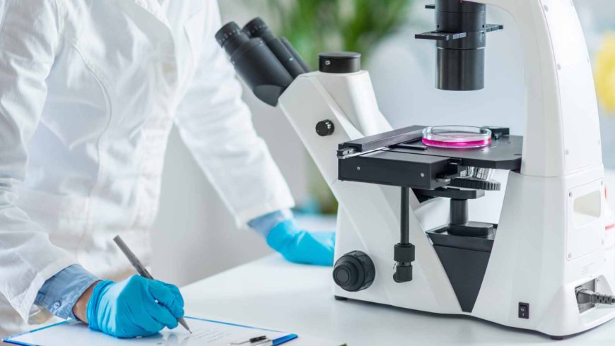 Human DNA reopens the last great mystery of Genghis Khan, and what scientists have discovered could change everything we thought we knew about his descendants